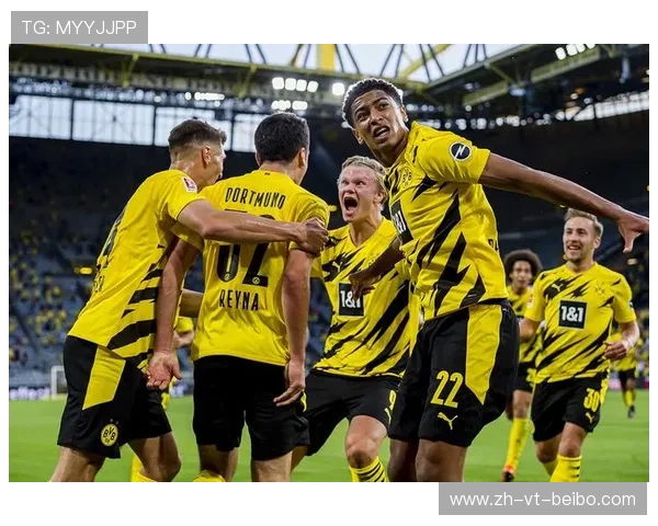 TSG是哪支德甲球队?俱乐部背景及成绩解读