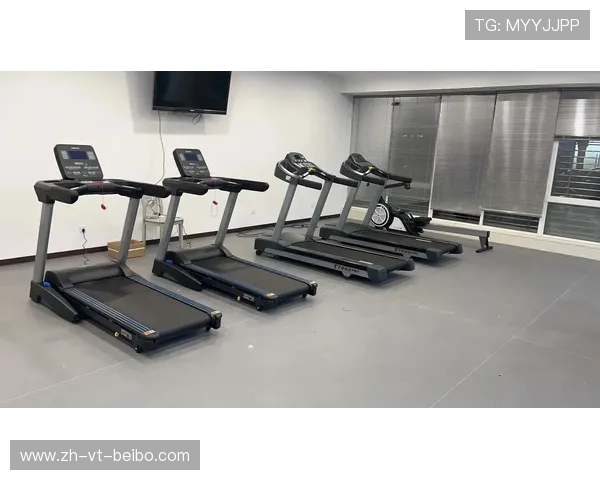 英派斯组合健身器材：英派斯组合健身器材的优势与使用建议